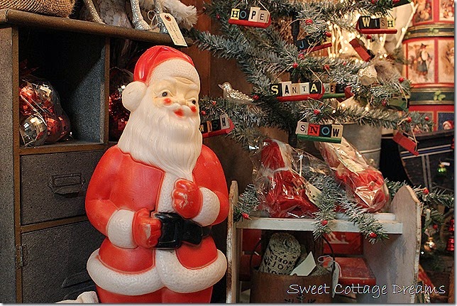 IMG_1007 IMG_1007