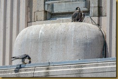 Pawtucket RI City Hall