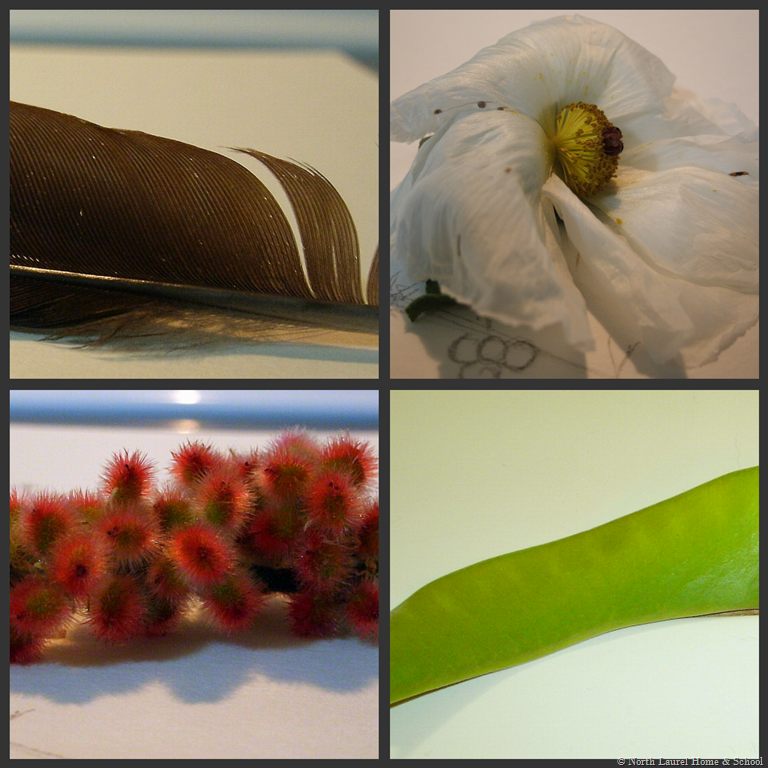 [Picnik%2520collage%255B3%255D.png]