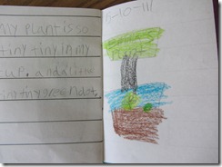 IMG_0657 IMG_0657