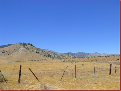 pics 005