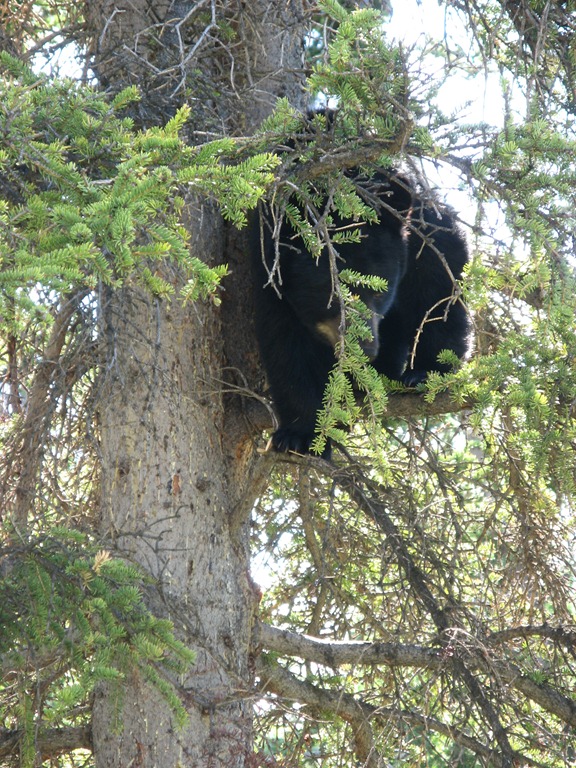 [IMG_5351%255B3%255D.jpg]