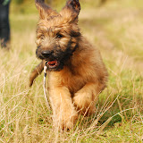 Abi - DSC_0260.jpg