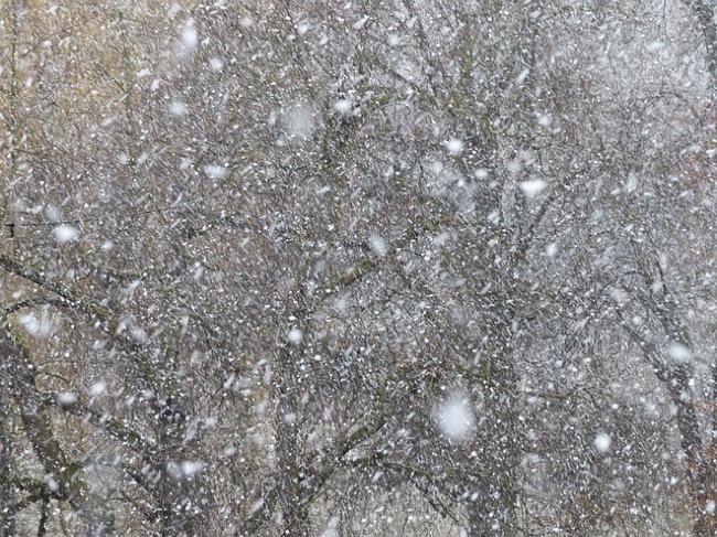 CC Photo Google Image Search. Source is pixabay.com Subject is blizzard-snow.jpg CC Photo Google Image Search Source is pixabay com Subject is blizzard snow