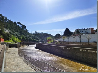 P1020648 P1020648