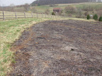 Proper weather forecasting and timing ensures a effective  Warm Season Grass burn with 100% combustion and no residual thatch.