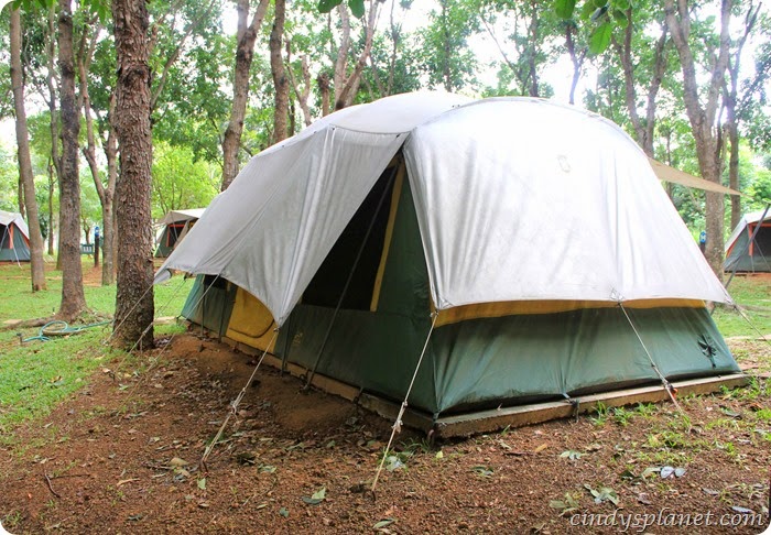 chok chai farm camp (5) chok chai farm camp (5)