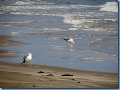 7290 Texas - PR-22 East (South Padre Island Dr) - Padre Island National Seashore - Malaquite Visitor Center - Gulf of Mexico 7290 Texas - PR-22 East (South Padre Island Dr) - Padre Island National Seashore - Malaquite Visitor Center - Gulf of Mexico