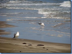 7290 Texas - PR-22 East (South Padre Island Dr) - Padre Island National Seashore - Malaquite Visitor Center - Gulf of Mexico