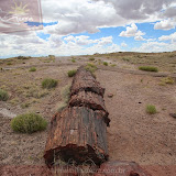 Àrvore petrificada na Rainbow Forest - Petrified Forest National Park - Flagstaff, AZ