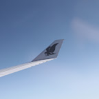 002.JPG