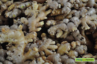 san jose market palawan 0006.jpg san jose market palawan 0006.jpg