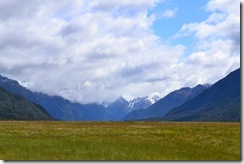 DSC_3982 DSC_3982