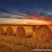 Alan Hopps - Golden Glow.jpg