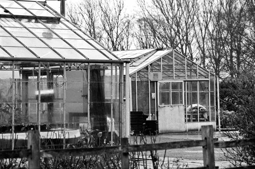 Student-Greenhouses-3