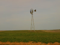 P1010466.JPG