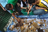 pinoyecofarm vermicomposting seminar _0070.JPG