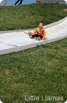 IMG_0899