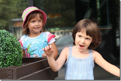 IMG_2360 IMG_2360