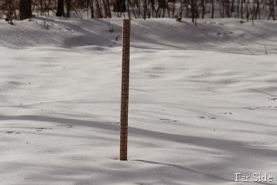 Four Inches at the snowstick