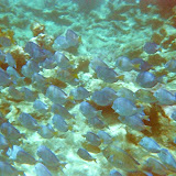 07560012.JPG