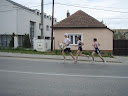 P4190237.jpg