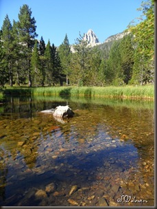 SAM_0599 SAM_0599