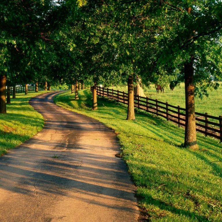 [winding-country-horse-road%255B4%255D.jpg]
