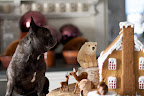 We even have a gingerbread house to drool over!