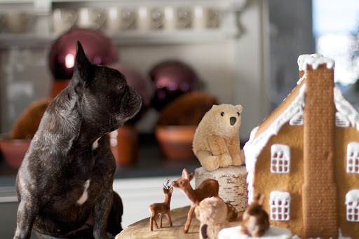 We even have a gingerbread house to drool over!