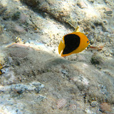 IMG_1591.JPG
