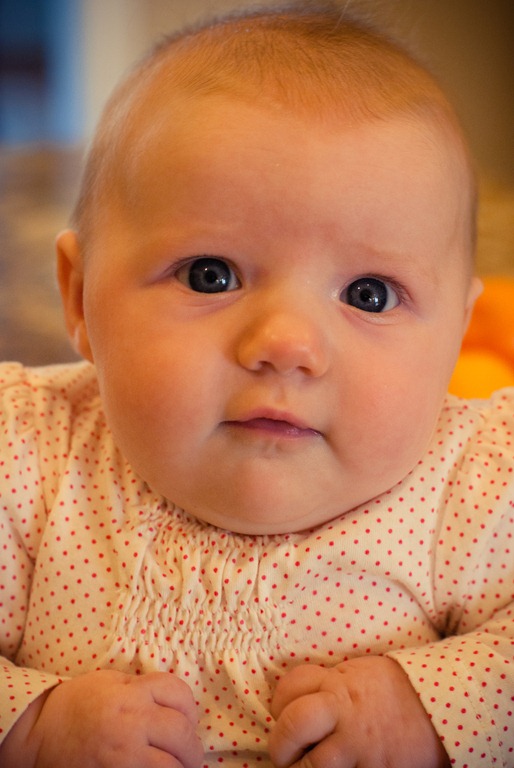 [DSC_0169%255B4%255D.jpg]