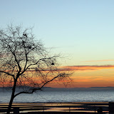 Feb 04 005.jpg