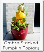 ombre pumpkin topiary