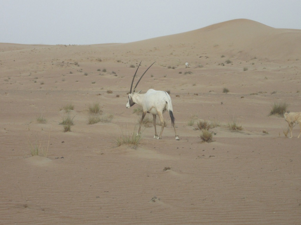 [IMG_1473%255B3%255D.jpg]