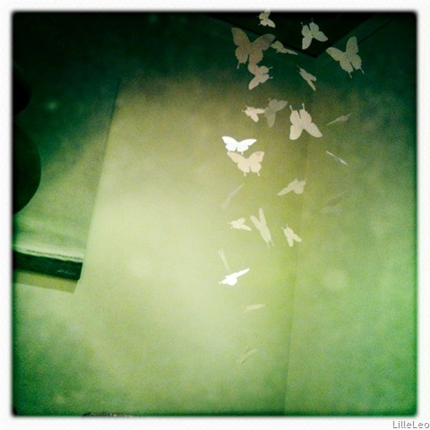 [IMG_0503%255B4%255D.jpg]