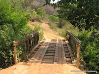 Wood Bridge