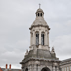 DSC_8460-2.jpg