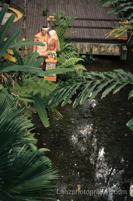 LAN_9081.jpg
