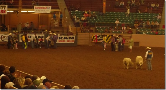 2011 Rodeo 001