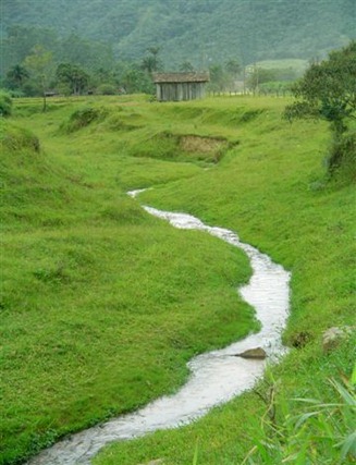 RiachoGaspar RiachoGaspar