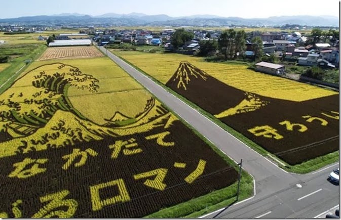 rice-art05_1