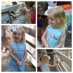 feeding animals feeding animals