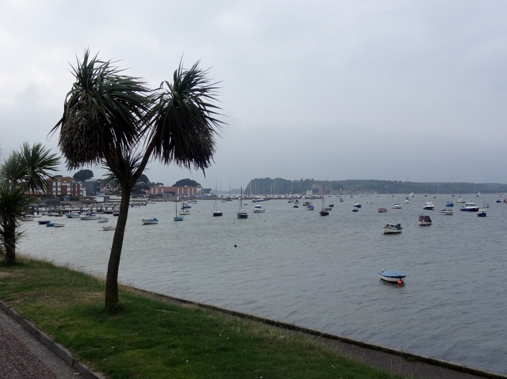 [DSC00332-1200x899.jpg]