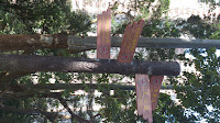 DSC_0533.jpg Photo