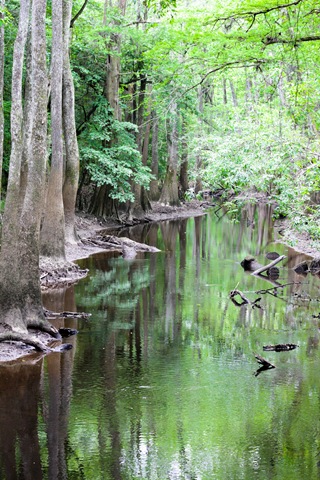 [River%2520%25281%2520of%25201%2529%255B4%255D.jpg]