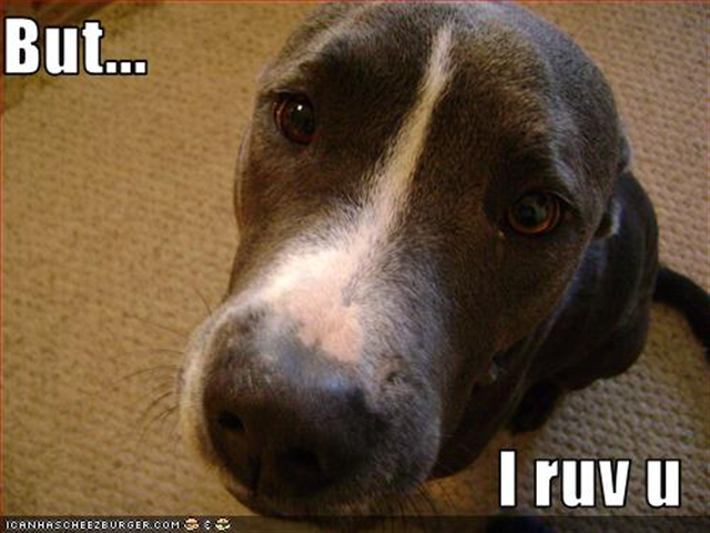 [dog-but-i-luv-u%2520%2528Small%2529%255B1%255D.png]