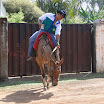 2EncontrodeMuladeiros-387.JPG