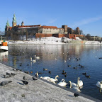 06iikrakow_004.jpg 06iikrakow_004.jpg