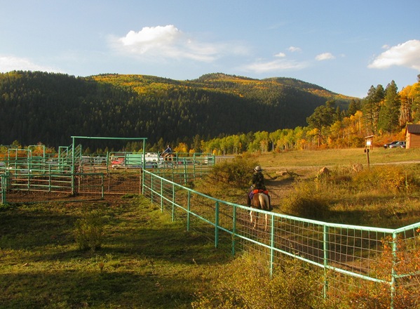[IMG_59665.jpg]
